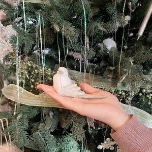 Meet your Posher, Jan.